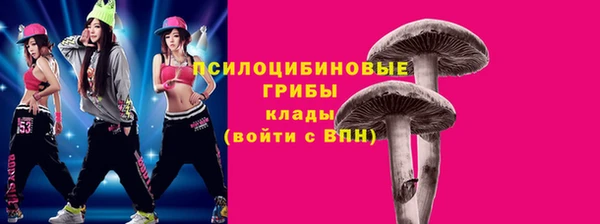 хмурый Пролетарск