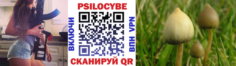 как найти закладки  Каменск-Шахтинский  omg сайт  Галлюциногенные грибы мухоморы 