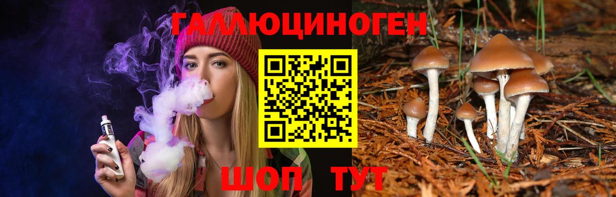 Псилоцибиновые грибы GOLDEN TEACHER Каменск-Шахтинский