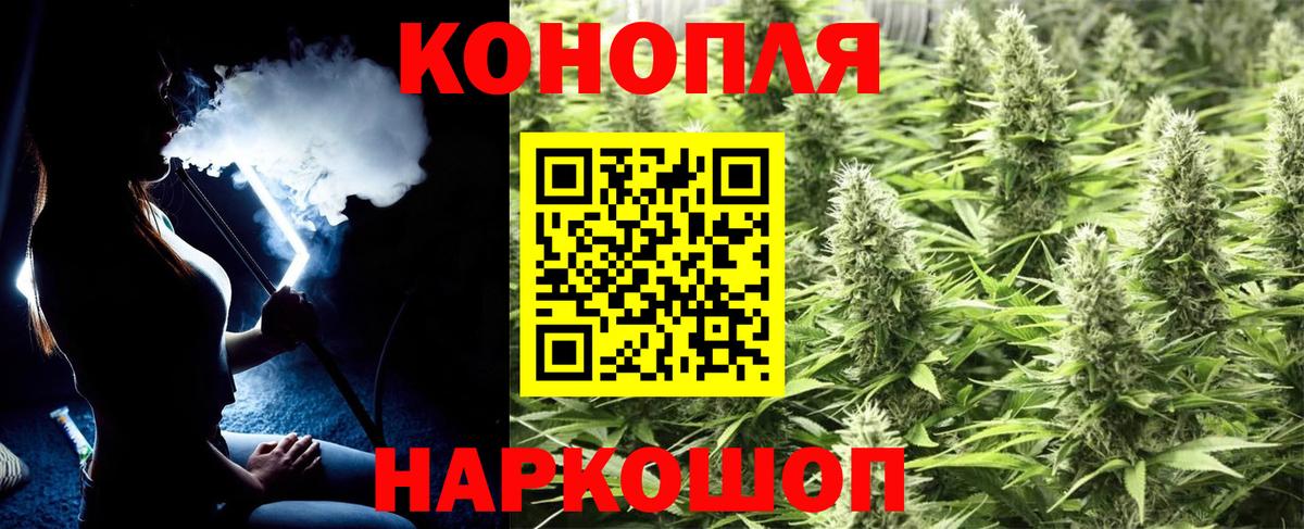 Бошки Шишки семена  Бошки марихуана White Widow  Каменск-Шахтинский  Вход с VPN  Конопля планчик 